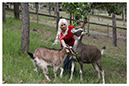 Tracey & her Goats Melody & Roadie